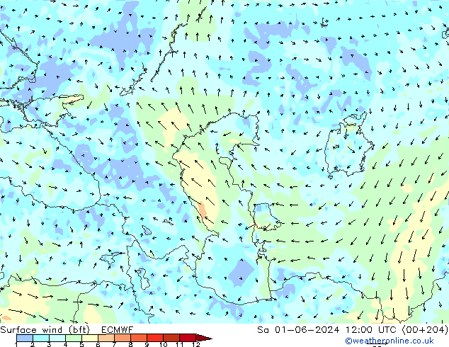 Surface wind (bft) ECMWF Sa 01.06.2024 12 UTC