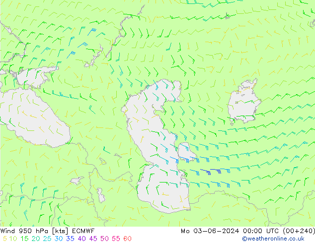 Wind 950 hPa ECMWF Mo 03.06.2024 00 UTC