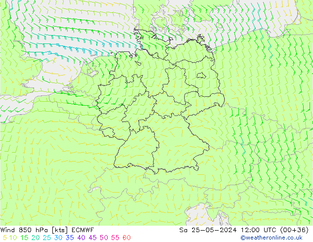 Wind 850 hPa ECMWF za 25.05.2024 12 UTC