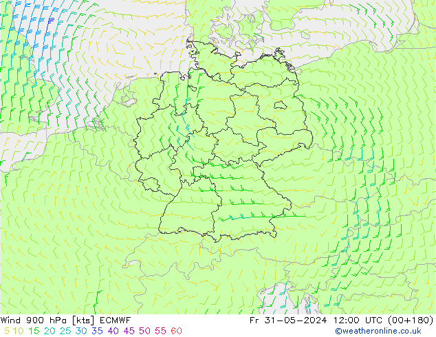 Vento 900 hPa ECMWF ven 31.05.2024 12 UTC