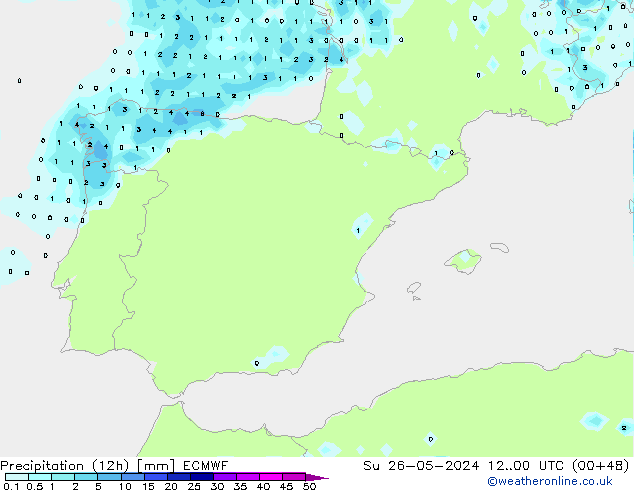 Yağış (12h) ECMWF Paz 26.05.2024 00 UTC