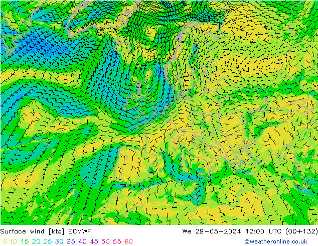 Wind 10 m ECMWF wo 29.05.2024 12 UTC