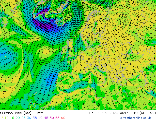 Vent 10 m ECMWF sam 01.06.2024 00 UTC