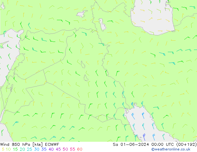 Vento 850 hPa ECMWF sab 01.06.2024 00 UTC