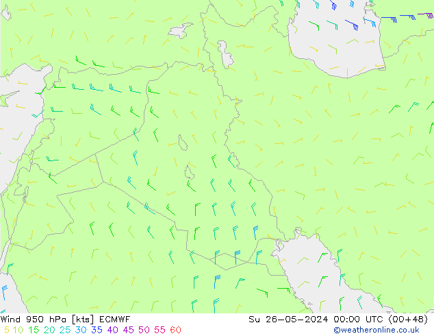 Vento 950 hPa ECMWF Dom 26.05.2024 00 UTC