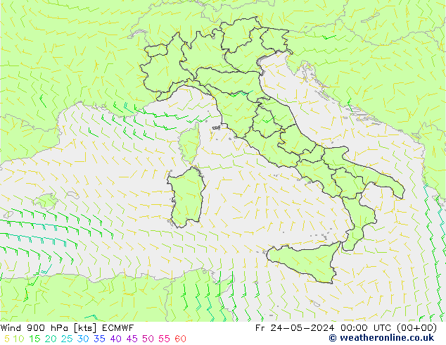 ветер 900 гПа ECMWF пт 24.05.2024 00 UTC