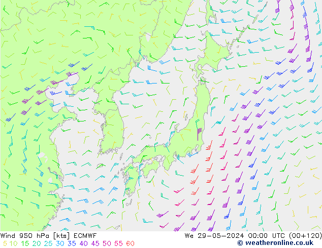 Wind 950 hPa ECMWF St 29.05.2024 00 UTC