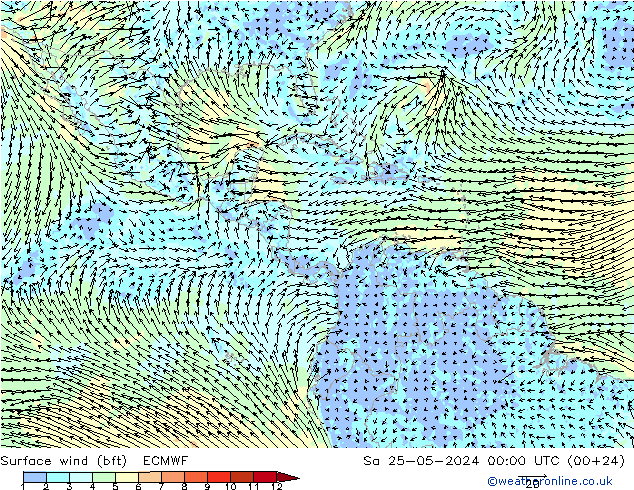 Wind 10 m (bft) ECMWF za 25.05.2024 00 UTC
