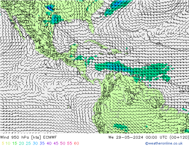 ветер 950 гПа ECMWF ср 29.05.2024 00 UTC