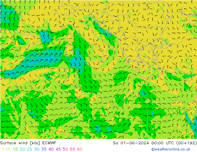 Surface wind ECMWF Sa 01.06.2024 00 UTC