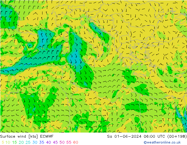 Bodenwind ECMWF Sa 01.06.2024 06 UTC