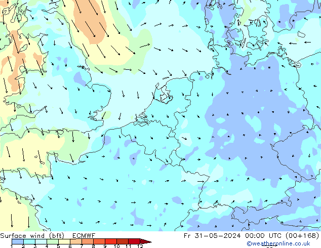  10 m (bft) ECMWF  31.05.2024 00 UTC