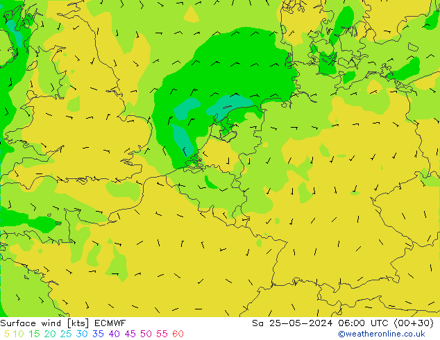 ветер 10 m ECMWF сб 25.05.2024 06 UTC