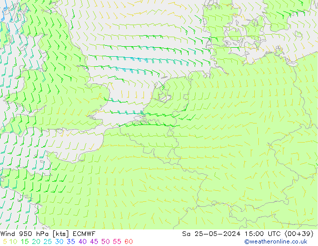 ветер 950 гПа ECMWF сб 25.05.2024 15 UTC