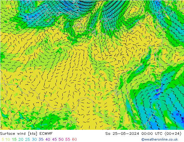 Surface wind ECMWF Sa 25.05.2024 00 UTC