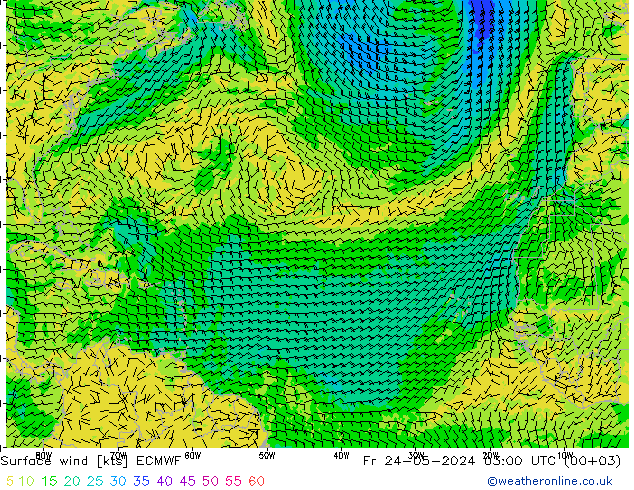 Surface wind ECMWF Fr 24.05.2024 03 UTC