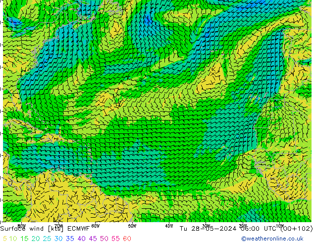 Surface wind ECMWF Tu 28.05.2024 06 UTC