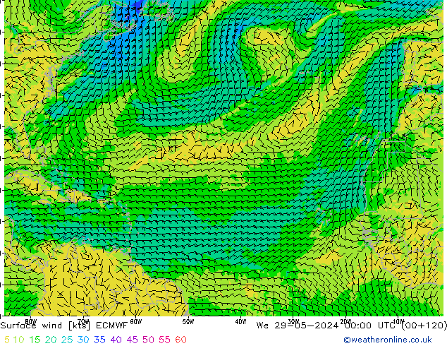 Surface wind ECMWF St 29.05.2024 00 UTC