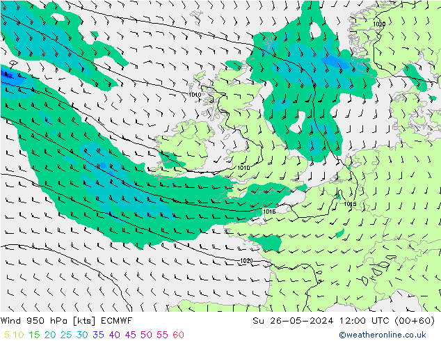  950 hPa ECMWF  26.05.2024 12 UTC