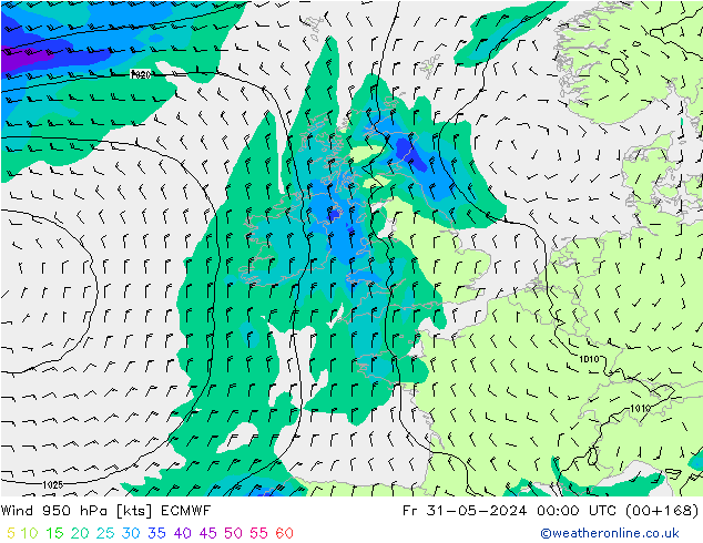 Wind 950 hPa ECMWF Fr 31.05.2024 00 UTC