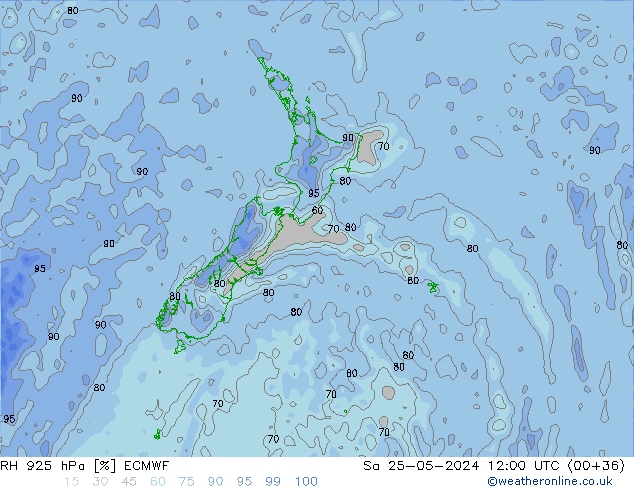 RH 925 hPa ECMWF  25.05.2024 12 UTC