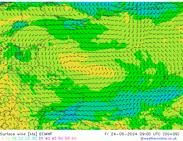  Fr 24.05.2024 09 UTC