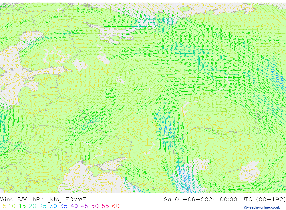 ветер 850 гПа ECMWF сб 01.06.2024 00 UTC