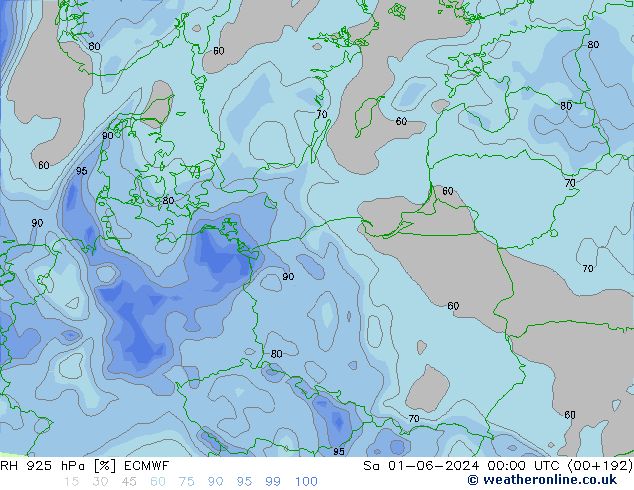 925 hPa Nispi Nem ECMWF Cts 01.06.2024 00 UTC