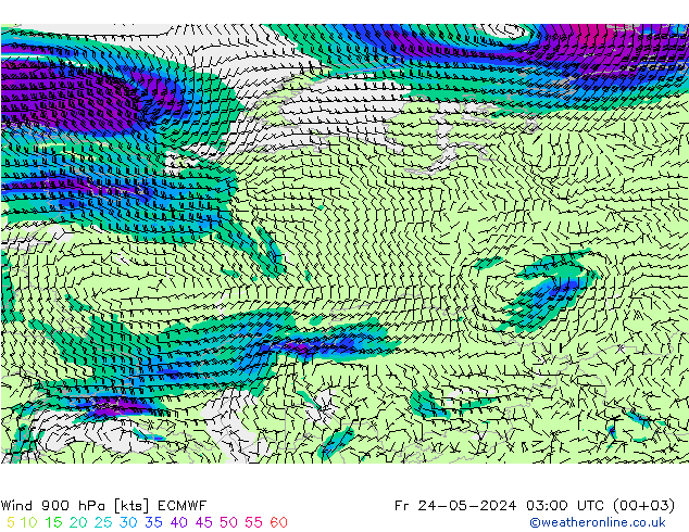 Wind 900 hPa ECMWF Fr 24.05.2024 03 UTC