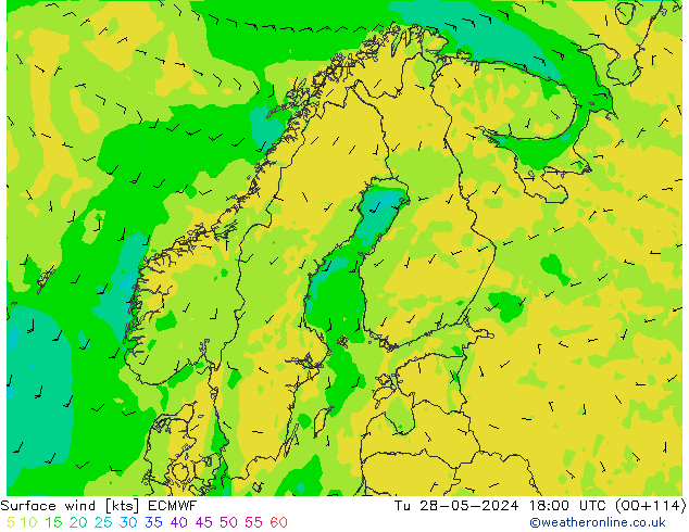 Surface wind ECMWF Tu 28.05.2024 18 UTC