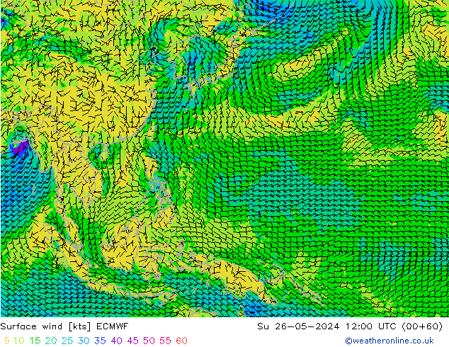 Viento 10 m ECMWF dom 26.05.2024 12 UTC