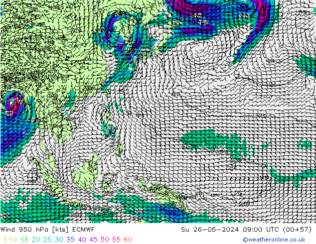  950 hPa ECMWF  26.05.2024 09 UTC