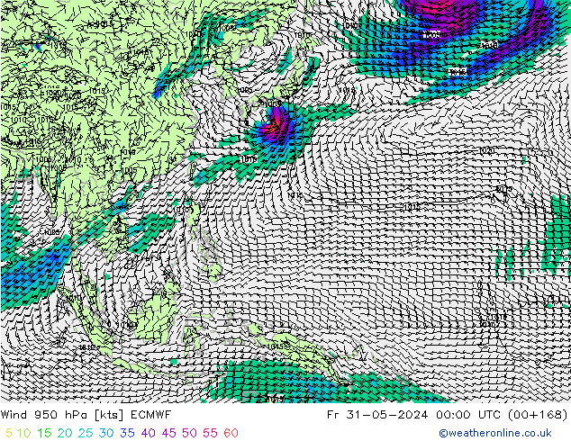  950 hPa ECMWF  31.05.2024 00 UTC