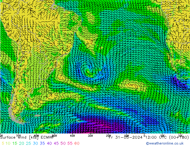 Bodenwind ECMWF Fr 31.05.2024 12 UTC