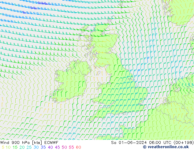 Wind 900 hPa ECMWF So 01.06.2024 06 UTC