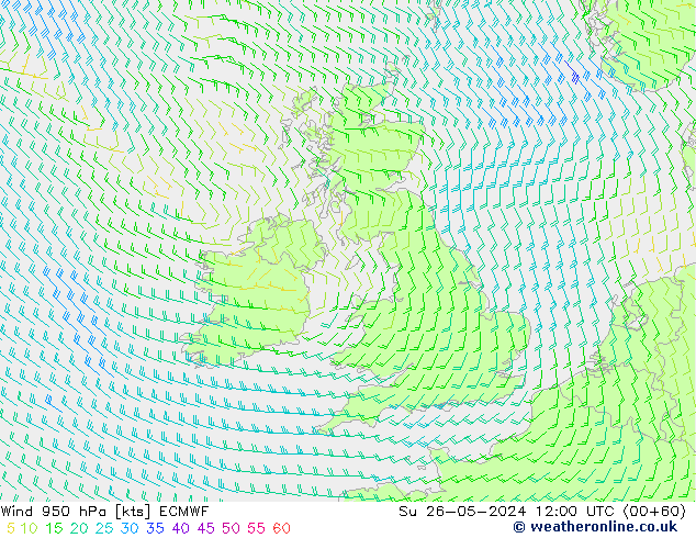 Wind 950 hPa ECMWF Su 26.05.2024 12 UTC