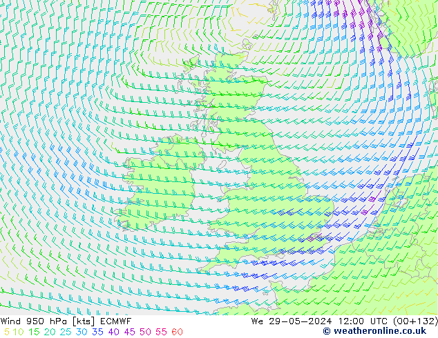 Wind 950 hPa ECMWF wo 29.05.2024 12 UTC