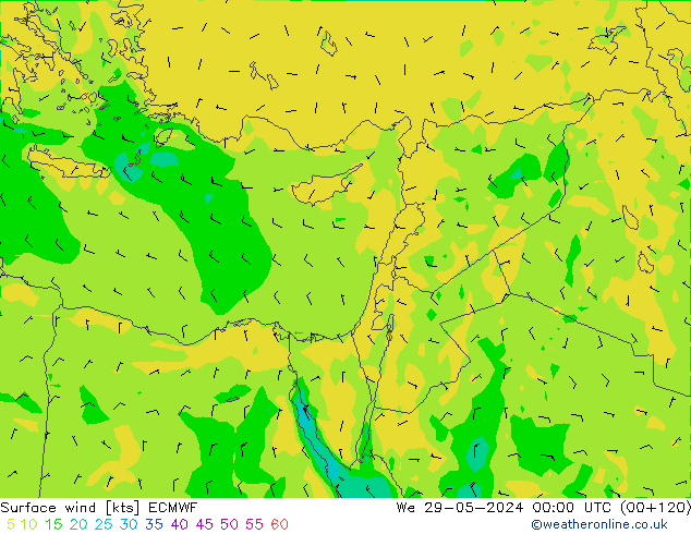 ветер 10 m ECMWF ср 29.05.2024 00 UTC