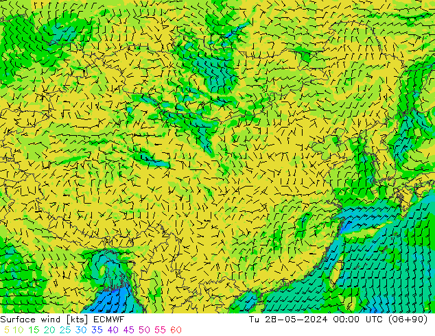 风 10 米 ECMWF 星期二 28.05.2024 00 UTC