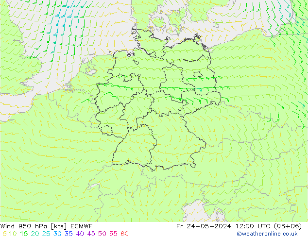 Vento 950 hPa ECMWF ven 24.05.2024 12 UTC