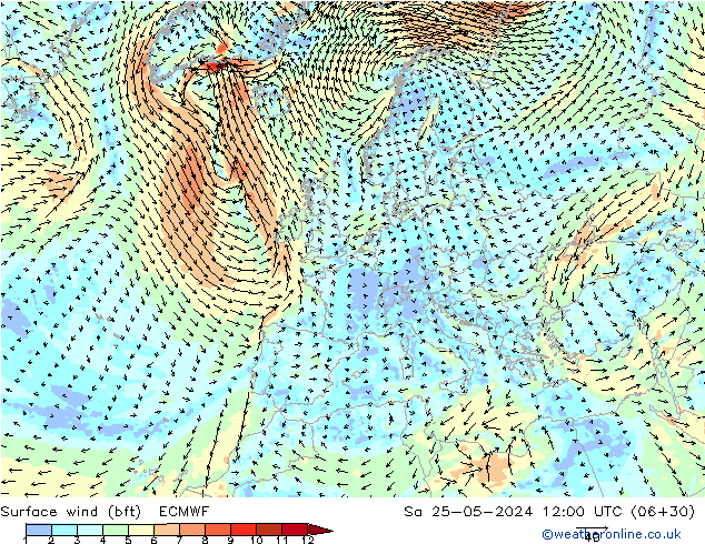 ве�Bе�@ 10 m (bft) ECMWF сб 25.05.2024 12 UTC