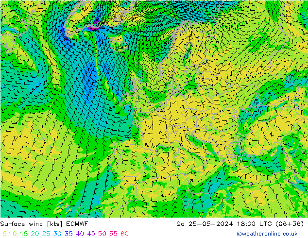 ветер 10 m ECMWF сб 25.05.2024 18 UTC