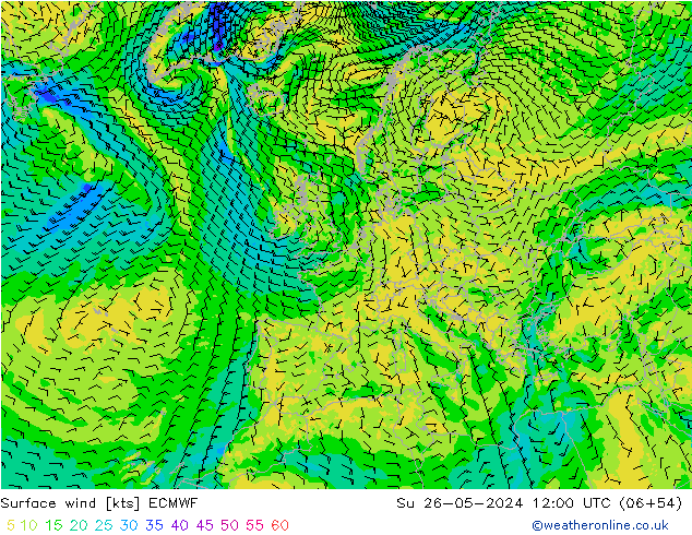 Bodenwind ECMWF So 26.05.2024 12 UTC