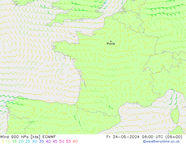  900 hPa ECMWF  24.05.2024 06 UTC