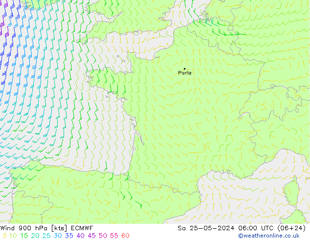 Wind 900 hPa ECMWF za 25.05.2024 06 UTC