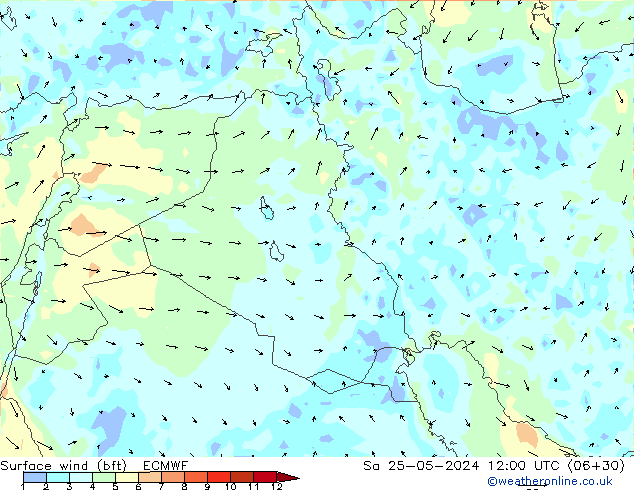 Vento 10 m (bft) ECMWF Sáb 25.05.2024 12 UTC