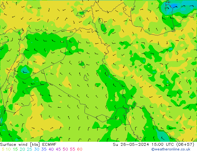 Surface wind ECMWF Ne 26.05.2024 15 UTC