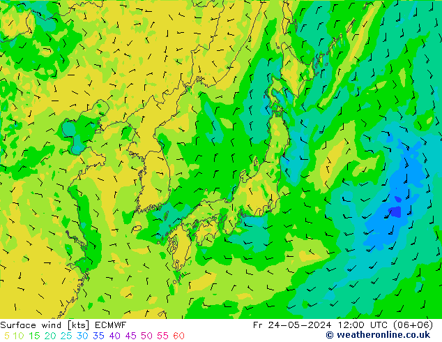 Surface wind ECMWF Fr 24.05.2024 12 UTC