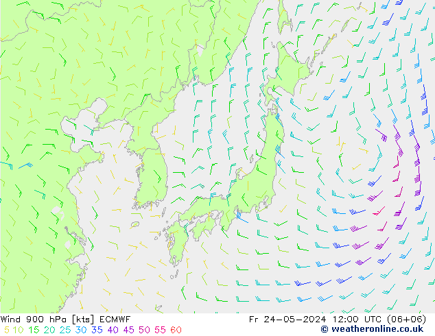 Vent 900 hPa ECMWF ven 24.05.2024 12 UTC