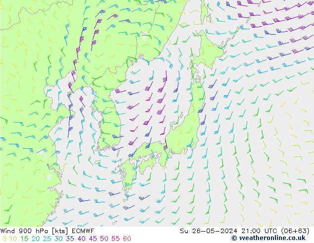 Vento 900 hPa ECMWF Dom 26.05.2024 21 UTC